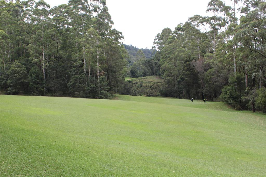 Andrews Hostel Nuwara Eliya Rom bilde